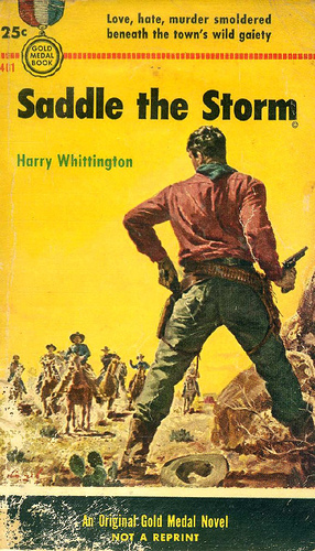 Saddle the Storm by Harry Whittington